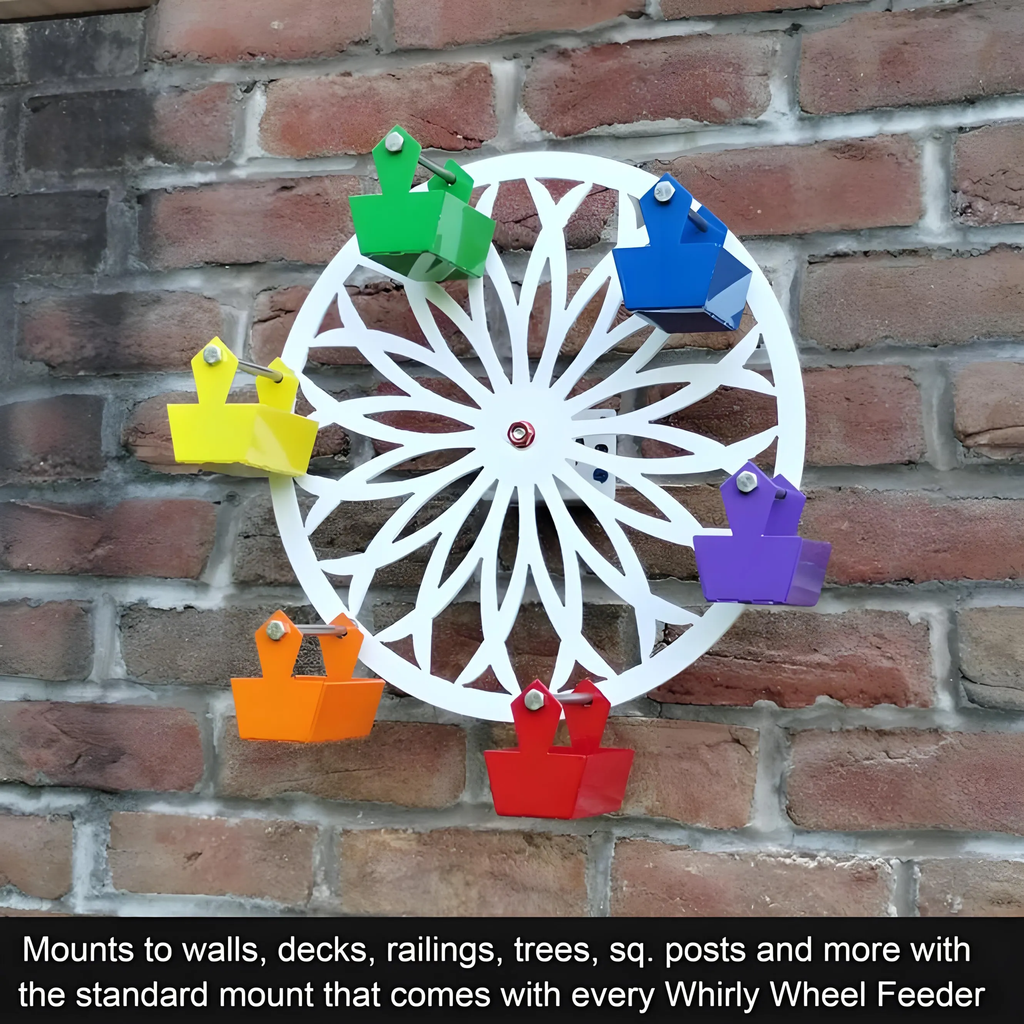 The Ferris Wheel of Fun for Your Feathered Friends