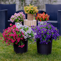 💖Spring Hot Sale 49% OFF- Artificial Flowers for Outdoors💐
