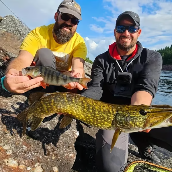 🔥Last Day 49% OFF -🎣2025 Xmas Holiday Fishing Advent Calendar